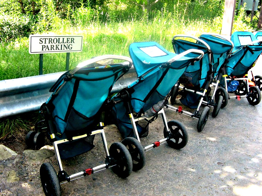 DisneyLand Tips for First-Timers: Rent a Stroller!