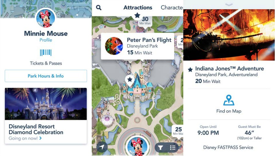 DisneyLand Tips for First-Timers: Download the Disneyland App