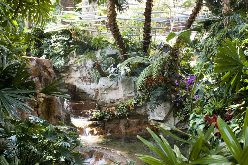 The Mirage Rainforest is one of the best Free Things To Do in Las Vegas With Kids