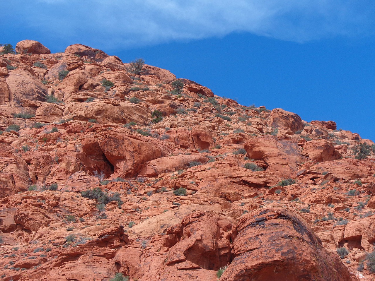 Do not pass up the opportunity to hike around Calico Basin as it's definitely one of the more fun Free Things To Do In Las Vegas With Kids.