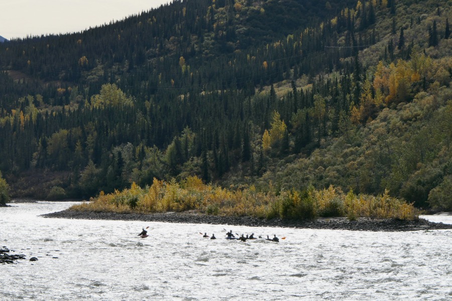 The best Whitewater in Alaska is the Nenana River.