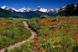 You might want to read up on all the Things you Need to Know Before Visiting Colorado.